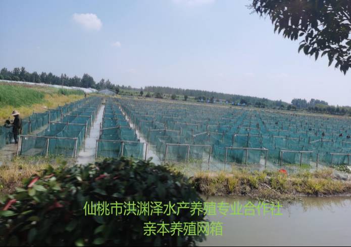 42923acm金牛版·(中国区)官方网站